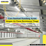 Cara Sanitasi Kandang Ayam_Cara Bersihkan Kandang Ayam_Bersihkan Kandang Ayam_