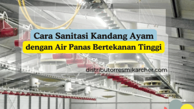 Cara Sanitasi Kandang Ayam_Cara Bersihkan Kandang Ayam_Bersihkan Kandang Ayam_